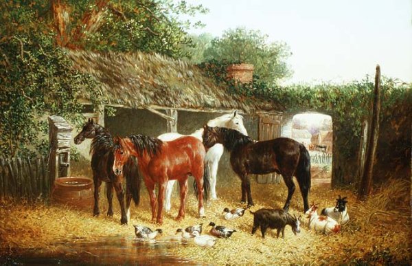 Farmyard Companions