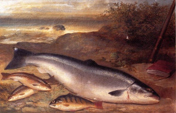 Still Life of Fish