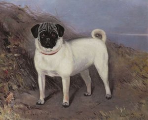 Portrait of a pug-dog named Judy Ju-Ju, 1888