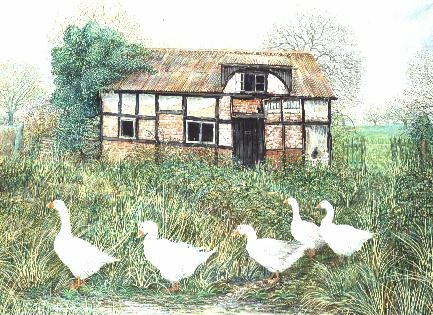 Geese Before a Timbered Cottage