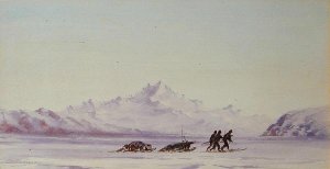 Arctic Scene