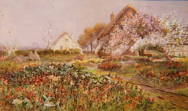 A Cottage garden in Springtime