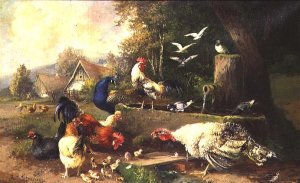 Poultry by a Pump