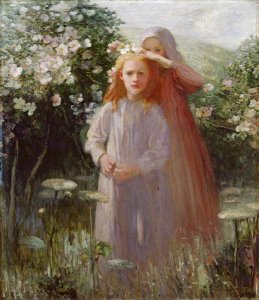 Wild Roses, 1906