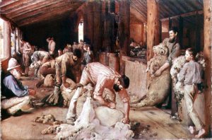 Sheep Shearing