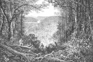 Through the Forest to the Palta Lake, engraved by Bertrand, page 209 from Vol. 2 of Journey Across South America by P. Marcoy, 1873