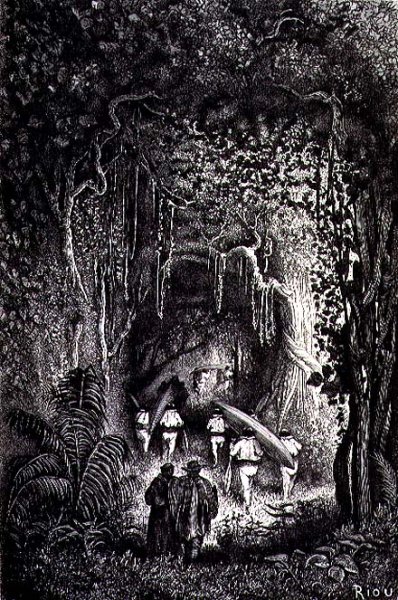 Through the Forest to the Palta Lake, engraved by Bertrand, page 209 from Vol. 2 of Journey Across South America by P. Marcoy, 1873