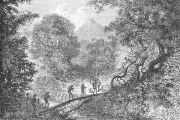 Crossing a Stream along a Fallen Tree, engraved by C. Laplante, page 79 from Voyages in South America by J. Crevaux, 1883