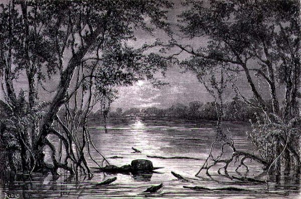 Moonlight Effect on the Lake Juteca, page 457 from Vol. 2 of Journey Across South America by P. Marcoy, 1873