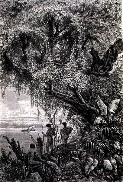 The First Steam-boat on the Amazon, page 491 from Vol.2 of Journey Across South America by P. Marcoy, 1873