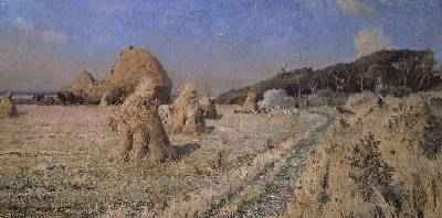 Corn Stooks in a Field