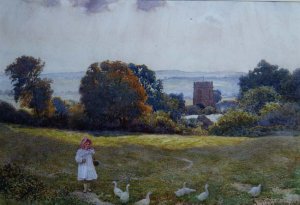 A Little Girl with Ducks in a Meadow