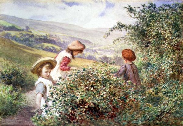 The Blackberry Pickers