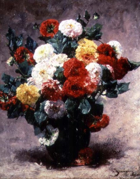 Carnations in a vase