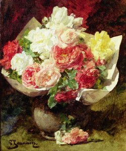 Carnations in a vase