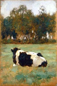 A Cow in the Meadow