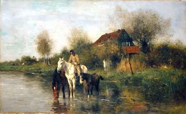 Horses at Water