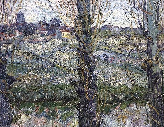 Orchard In Blossom With View Of Arles