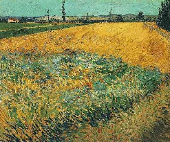 Wheat Field With The Alpilles Foothills In The Background