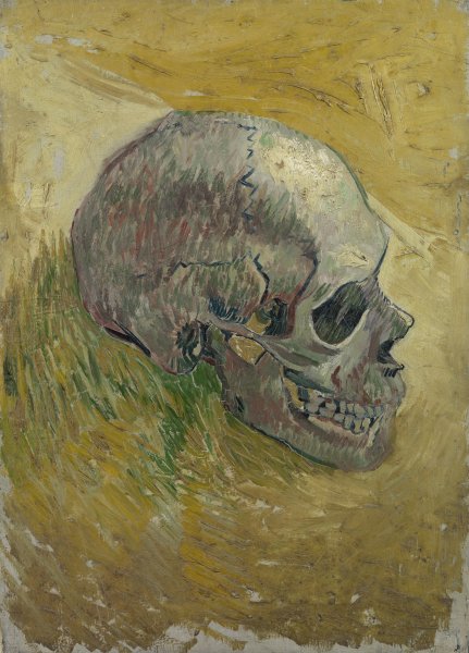 Skull