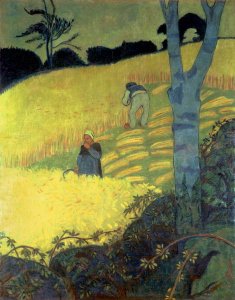 Harvest Scene