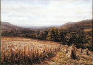 Harvest Time near Ashburton, 1884