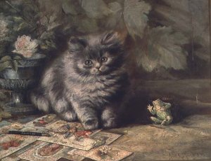 A Portrait of a kitten