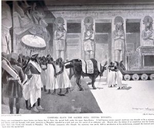 Cambyses slays the Sacred Bull, illustration from Hutchinsons History of the Nations, c.1910