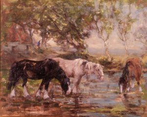 Horses at a Pool