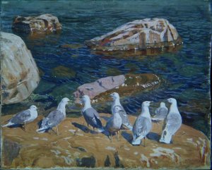 Seagulls, 1910