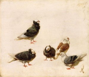 Pigeons, 1888