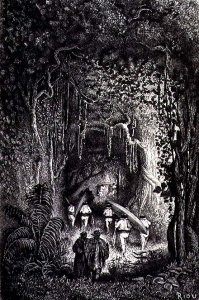 Through the Forest to the Palta Lake, engraved by Bertrand, page 209 from Vol. 2 of Journey Across South America by P. Marcoy, 1873