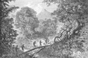 Crossing a Stream along a Fallen Tree, engraved by C. Laplante, page 79 from Voyages in South America by J. Crevaux, 1883