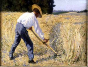 Threshing the Wheat