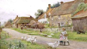 Country Cottages