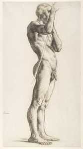 A Study of a Male Figure