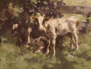 Calves Under a Tree