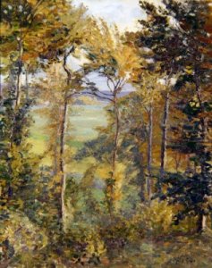 Wooded Landscape at Tibermont Neuville Les Dieppes