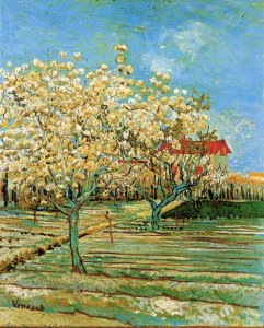 Orchard In Blossom II