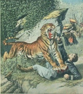 Attacked By A Tiger Jpg