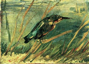 The Kingfisher