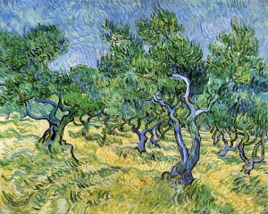 Olive Grove II